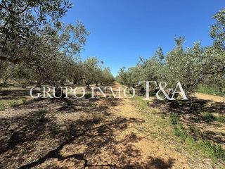 Terreno en venta en Zona Poble en Benicarló