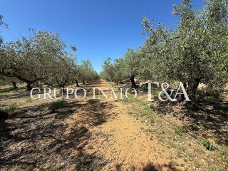 Terreno en venta en Zona Poble en Benicarló