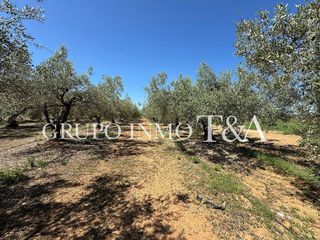Terreno en venta en Zona Poble en Benicarló