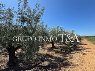 Terreno en venta en Zona Poble en Benicarló