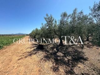 Terreno en venta en Zona Poble en Benicarló