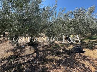 Terreno en venta en Zona Poble en Benicarló