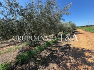 Terreno en venta en Zona Poble en Benicarló