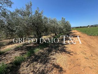 Terreno en venta en Zona Poble en Benicarló