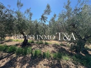 Terreno en venta en Zona Poble en Benicarló