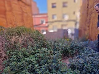 Solar en venta en Artigas - Llefià en Badalona