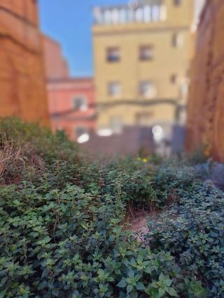 Solar en venta en Artigas - Llefià en Badalona