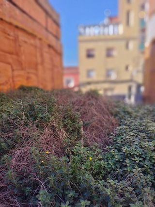 Solar en venta en Artigas - Llefià en Badalona