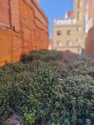 Solar en venta en Artigas - Llefià en Badalona