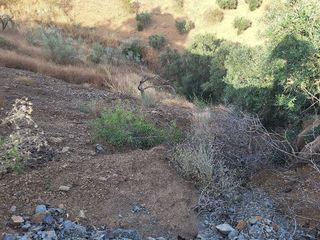 Terreno en venta en Cártama