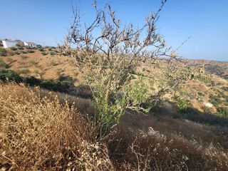 Terreno en venta en Cártama