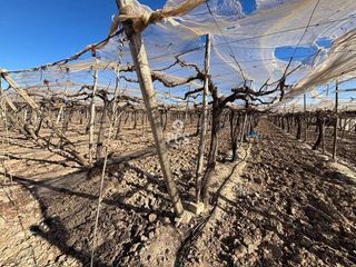 Terreno en venta en Totana