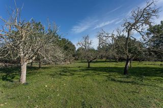 Solar en venta en Santa Margalida en Santa Margalida