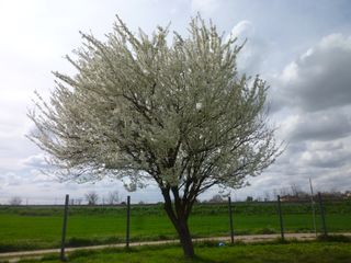 Panasonic Lumix DMC-FX60