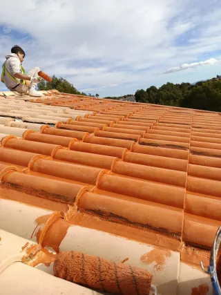 Servicios de pintura y reformas