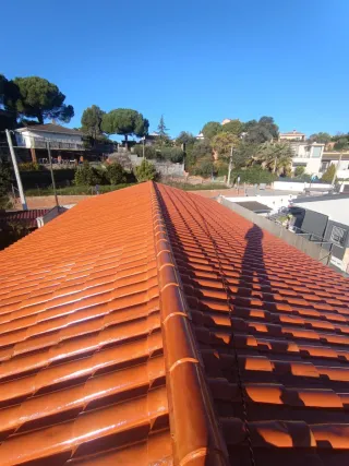 Servicios de pintura y reformas