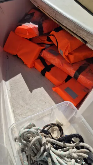 Barco recreo fueraborda