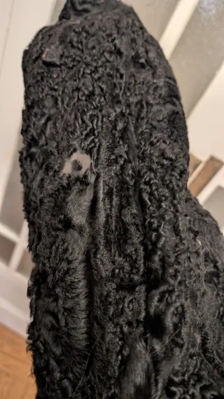 Abrigo de astracán negro