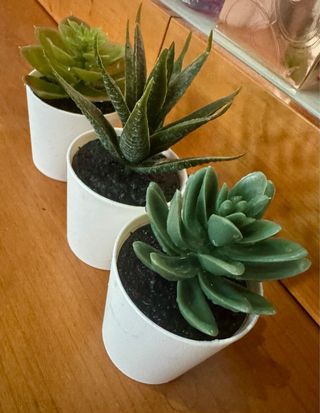 Plantas Suculentas Artificiales Ikea (Set 3)
