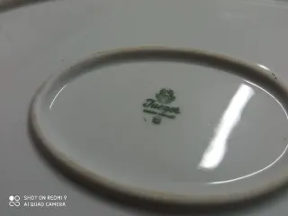 Set porcellana con pesci