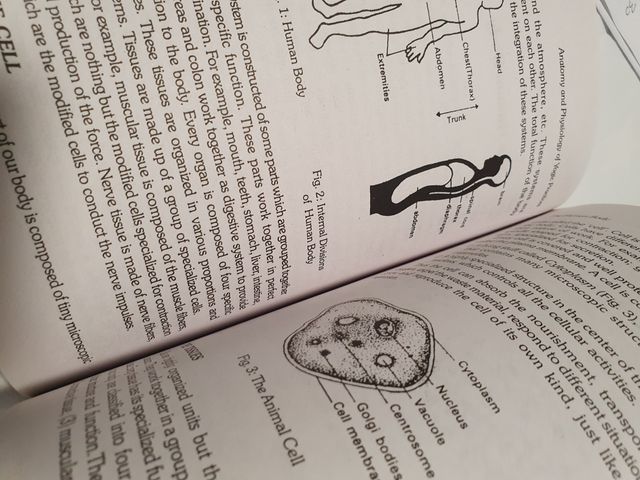 Anatomy and Physiology of Yogic Practices