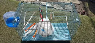 Jaula grande para pájaros