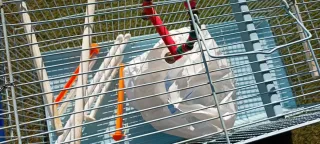 Jaula grande para pájaros