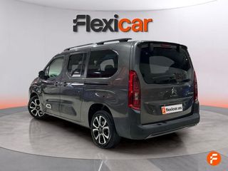 Citroën Berlingo Talla XL BlueHDi 130 S&S 6v SHINE