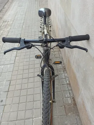 Bicicleta passeig tipus "tot terreny"