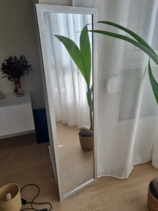 Specchio a figura intera argentato