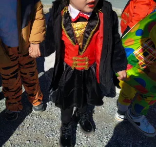 Disfraz Carnaval Niña talla 3-4