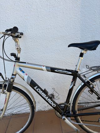 Bicicleta Lombardo Trekking