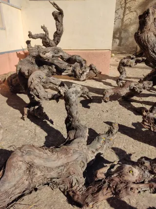 Madera de vid para acuario o decoración