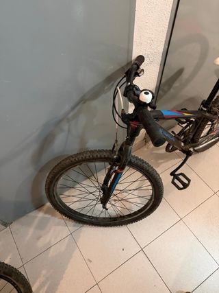 Bici Orbea MX 20
