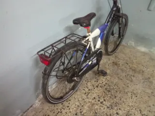 Bicicleta de paseo Alpina holandesa