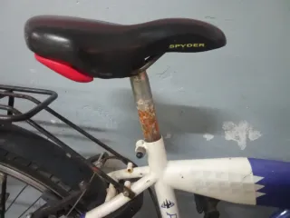 Bicicleta de paseo Alpina holandesa