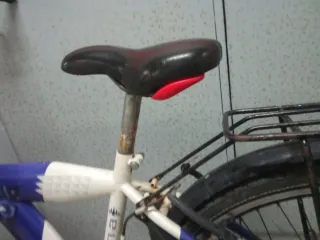 Bicicleta de paseo Alpina holandesa