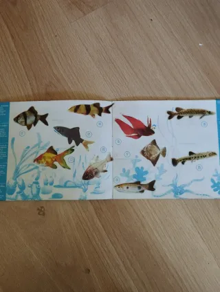 Album completo Peces Exóticos Donuts