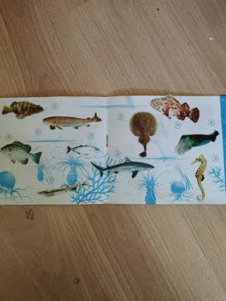 Album completo Peces Exóticos Donuts