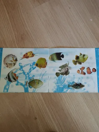 Album completo Peces Exóticos Donuts