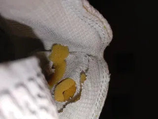 Nike Air Max Terrascape Beige/Blanco.