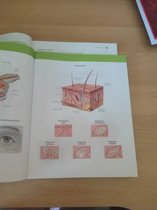 Biología Y Geología: Biología Y Geología, 3 Eso