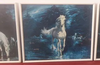 Conjunto Caballos de la Luna Alfredo Palmero