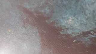 Conjunto Caballos de la Luna Alfredo Palmero