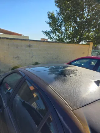 Despiece Seat León MK1