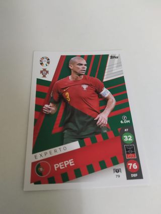 Carta Pepe Portugal Eurocopa 2024