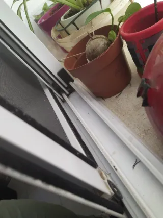 Ventana aluminio blanco 120x100