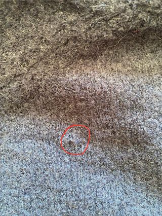 Jersey Zara azul marino tejido suave