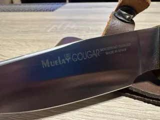 Muela Cougar