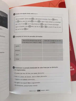 TRAM 2.0 Guia didàctica Llengua 4
